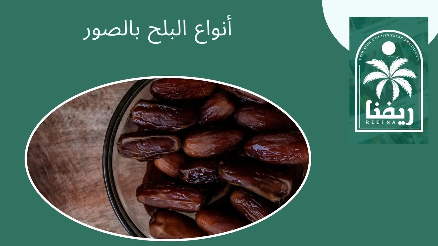 أنواع البلح بالصور