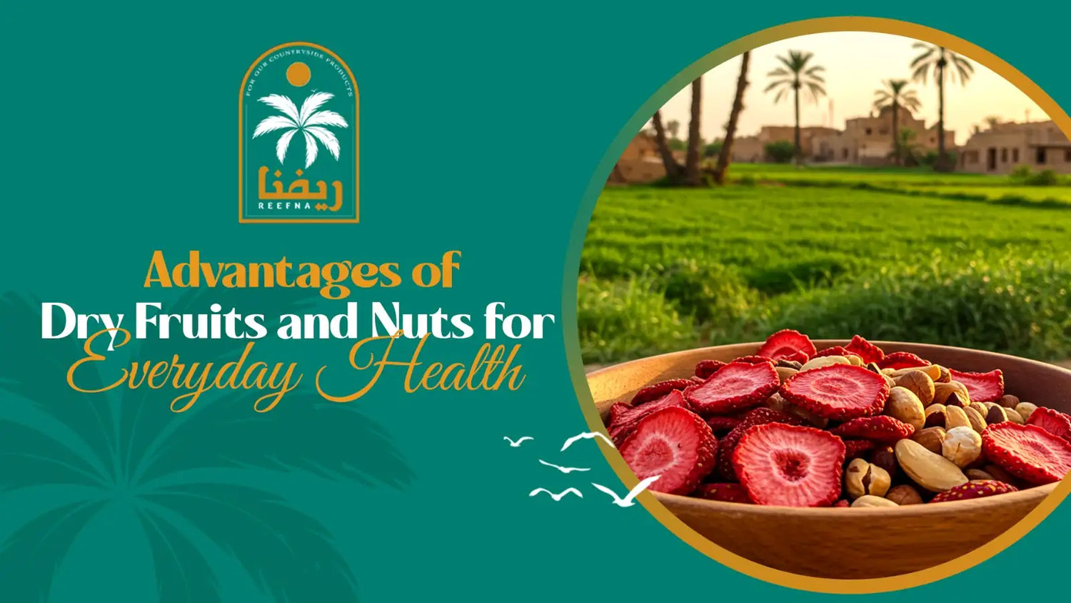 advantages of dry fruits and nuts