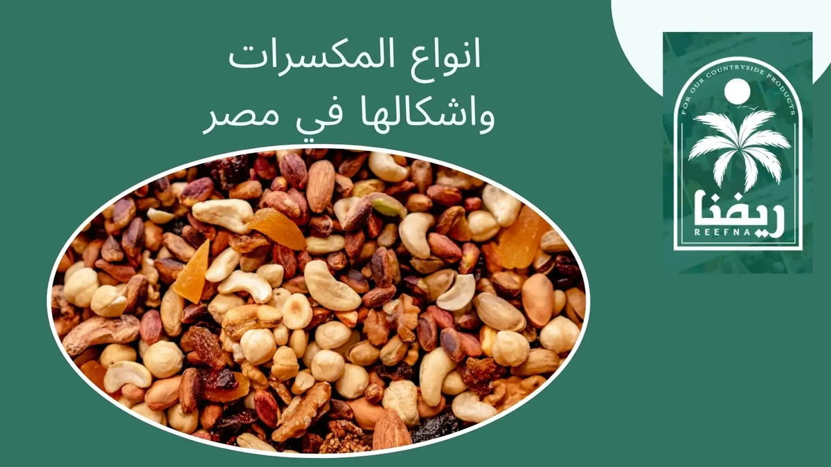 انواع المكسرات واشكالها