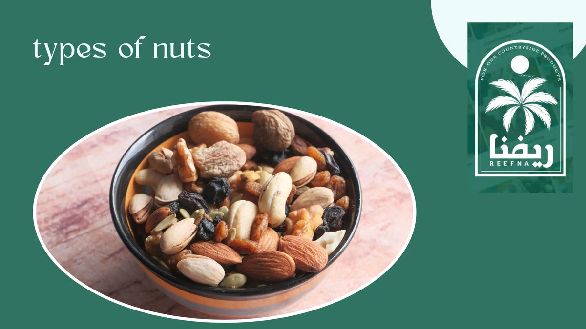 types of nuts