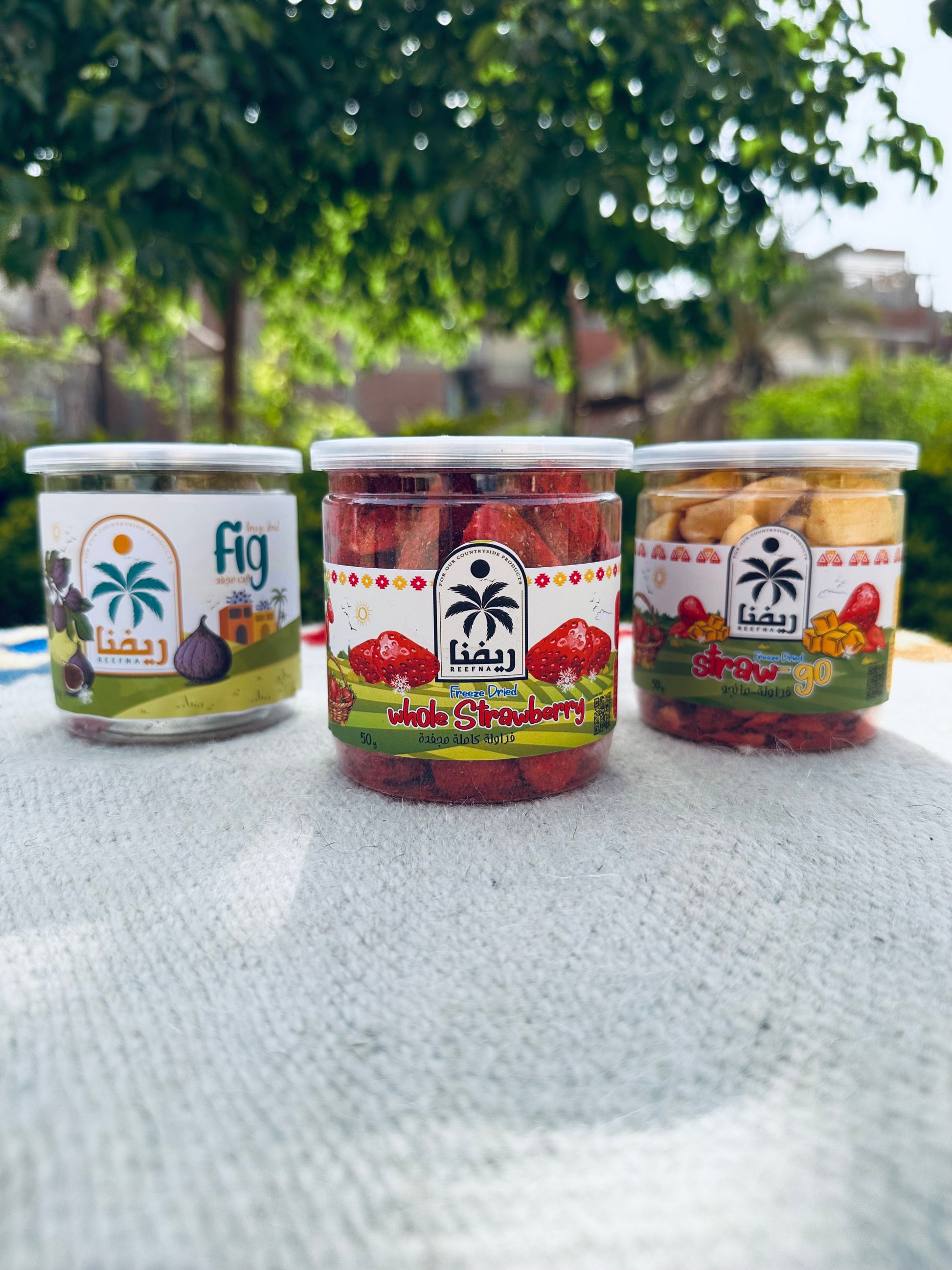 Freeze Dried Collection