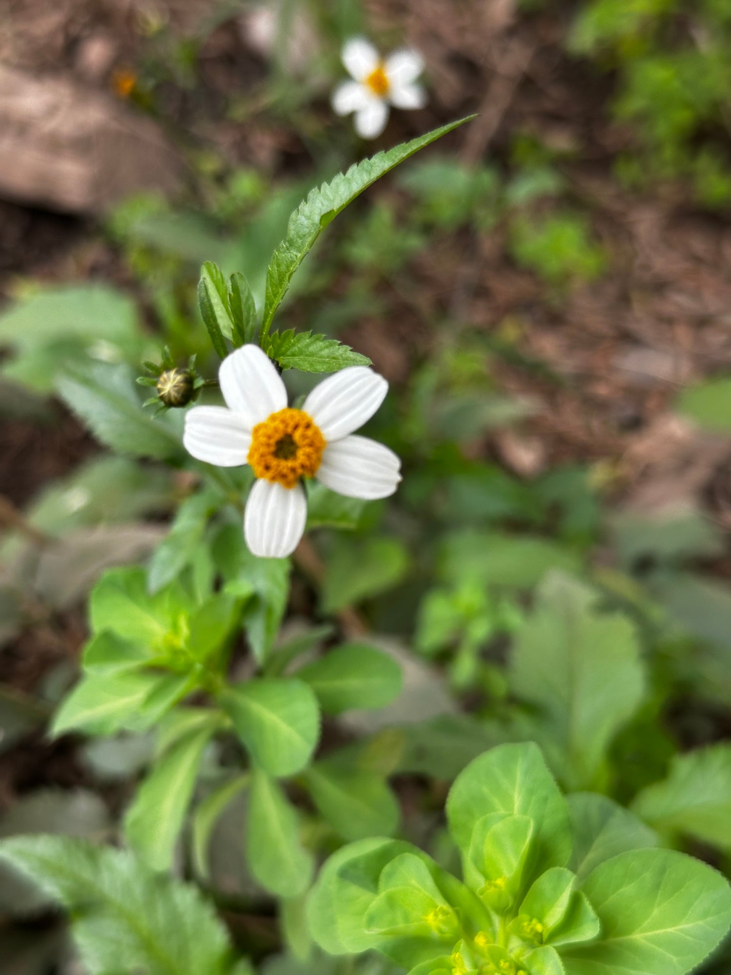 About Reefna Food about-reefna-food